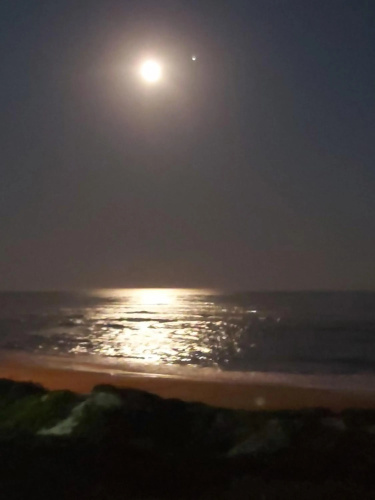 The Sparrow's Nest Beach-Front Self-catering
