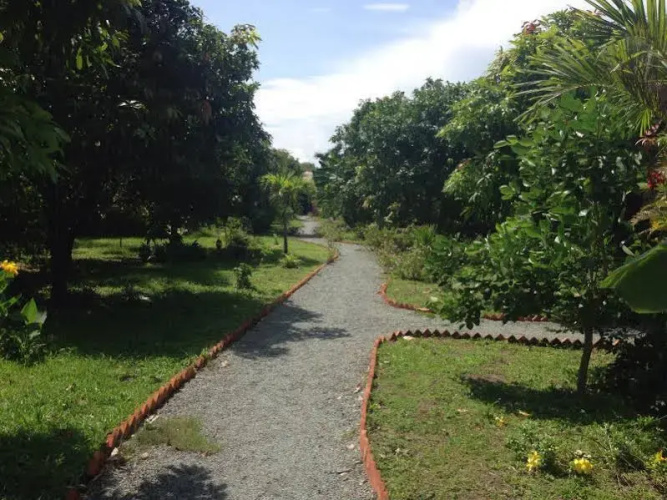 Oasis Garden Guesthouse