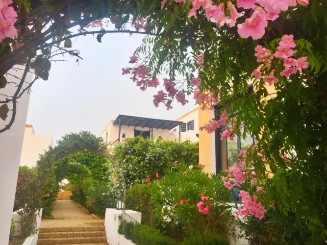 2 Bedrooms Villa
