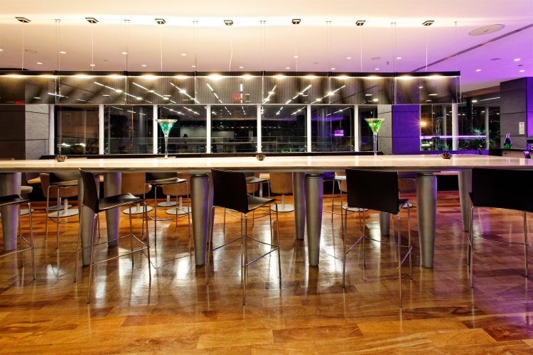 Holiday Inn Santo Domingo photo 35