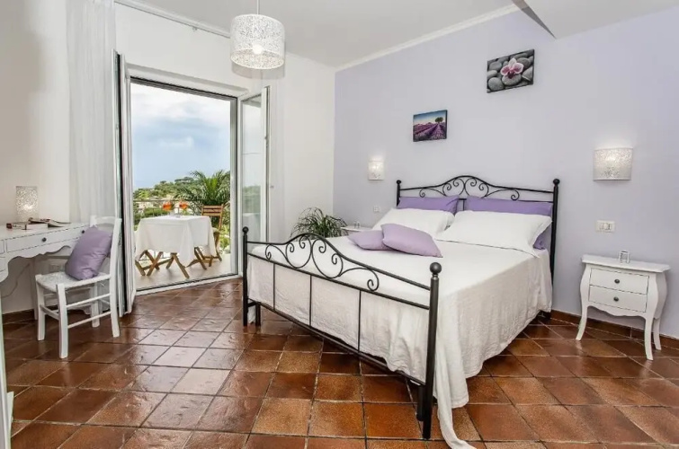 Casa la Cycas