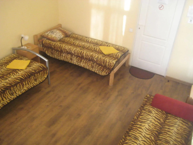 Tiger Hostel