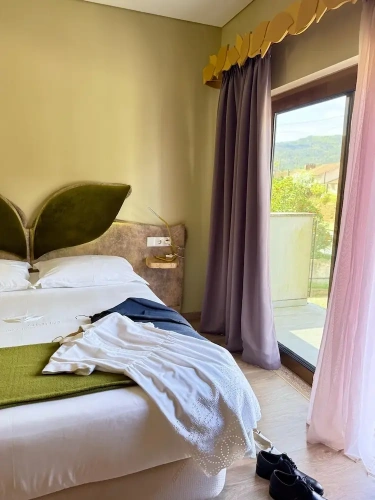 Standard Double room with balcony and with river view