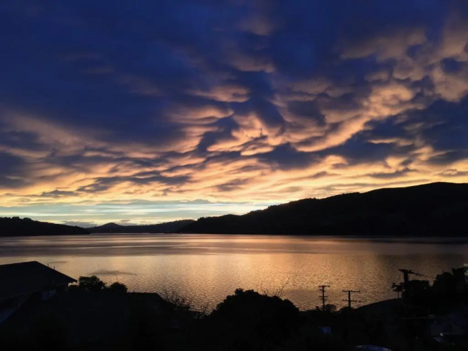 Otago Peninsula Paradise