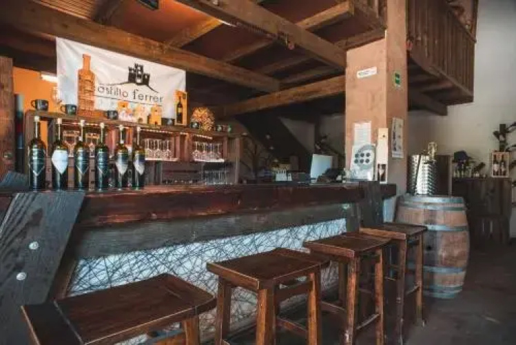 Hotel Castillo Ferrer by OYO Rooms