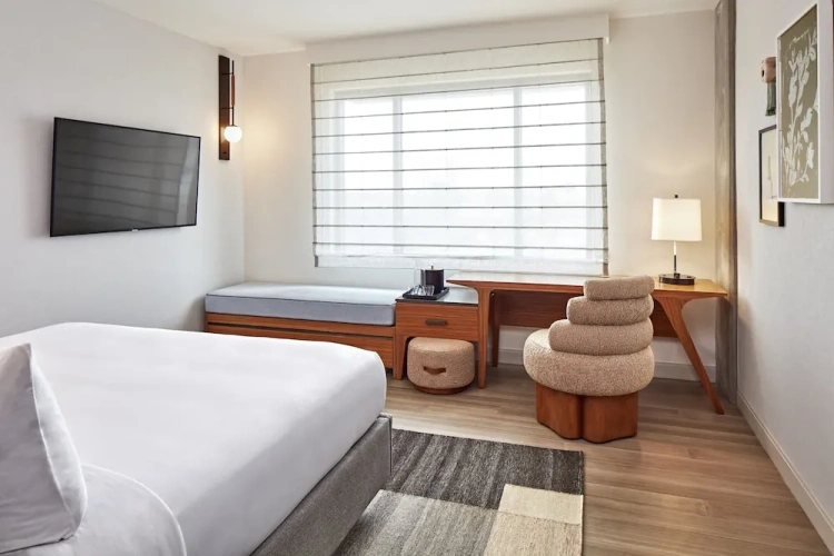 1 Bedroom Suite