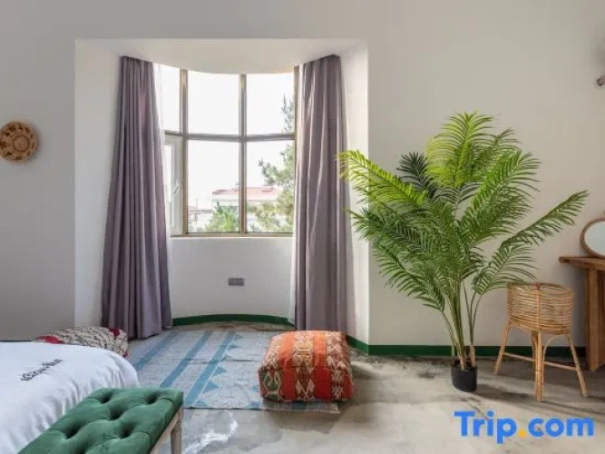 1 Bedroom Suite