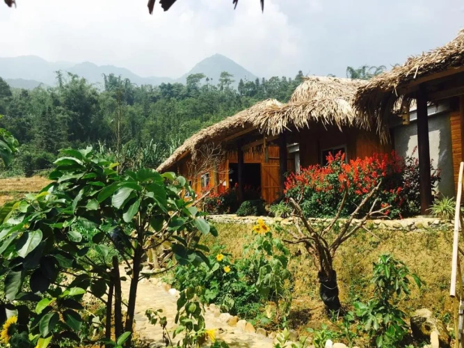 Bungalow