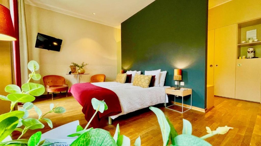 Deluxe Double room with balcony