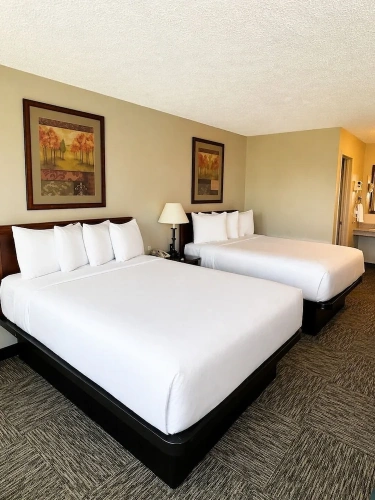 Comfort Quadruple room with balcony and with golf view