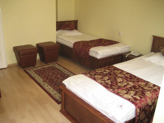 Hotel Transilvania