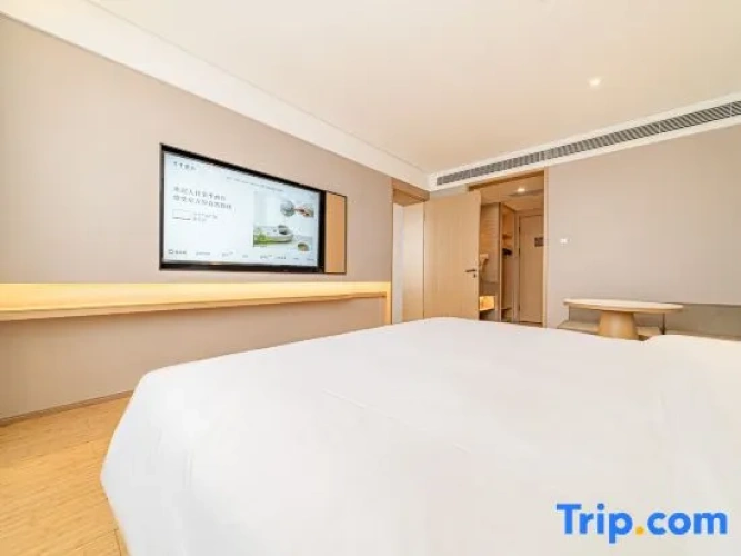 Twin Suite