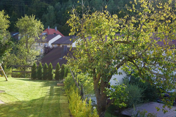 Ferienwohnung Duttental
