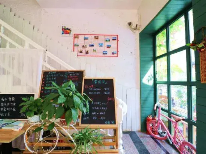 Xiyu Hostel · Cat Café