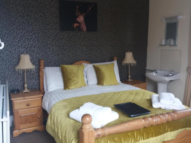 Standard Double room with lake view