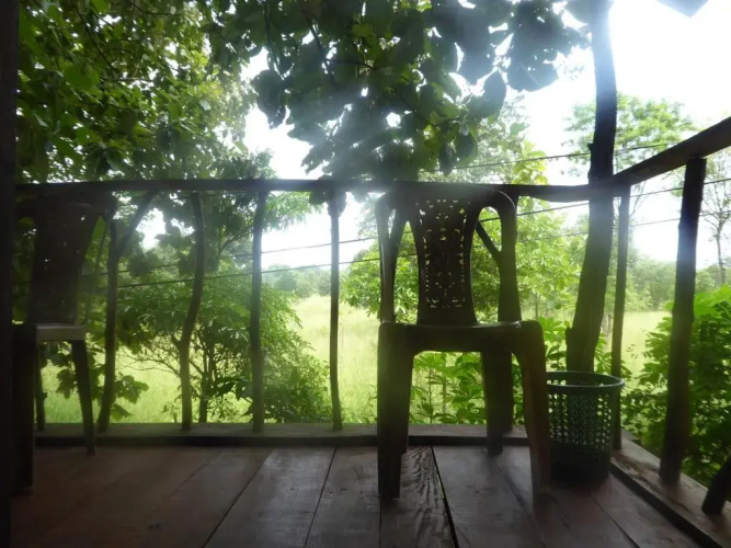 Angry Birds Tree house