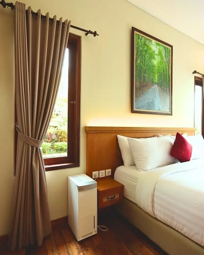Double Junior Suite with mountain view