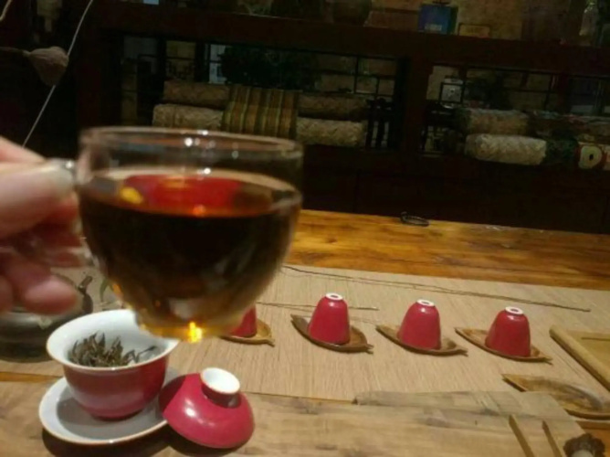 Chayu Tinzhu Hotel