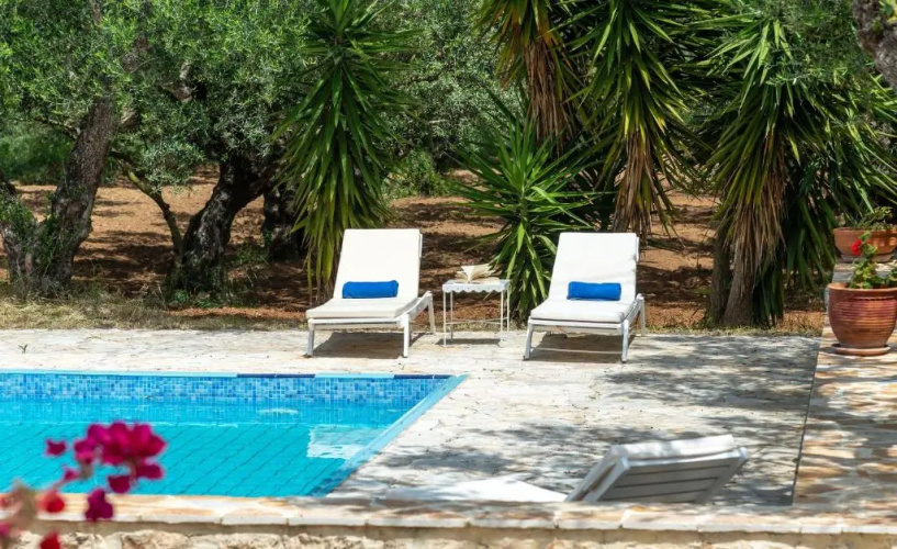 Olive Grove Villa