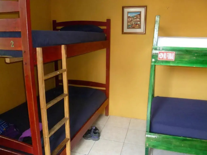 Dreamkapture Hostel