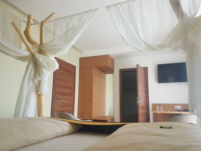 Standard Double room with balcony and with garden view