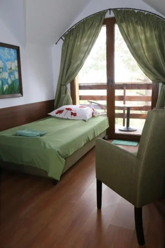 Standard Single room with balcony and with view