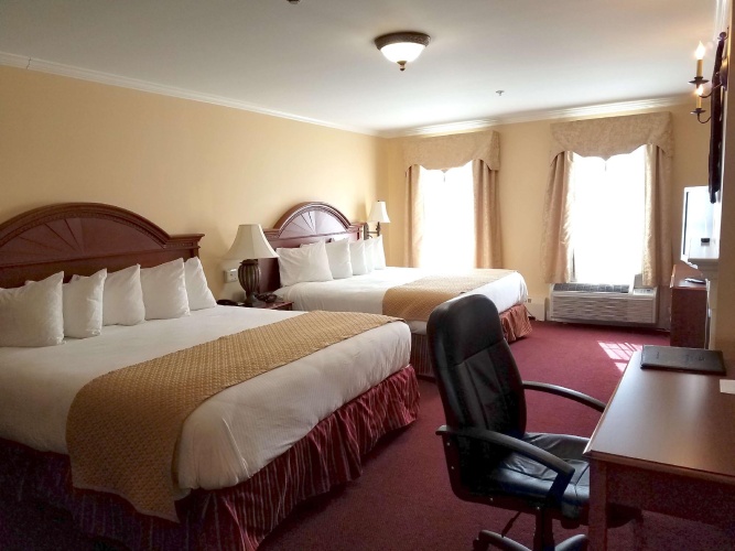 Executive Quadruple Suite