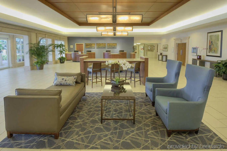 Sheraton Sand Key Resort photo 35