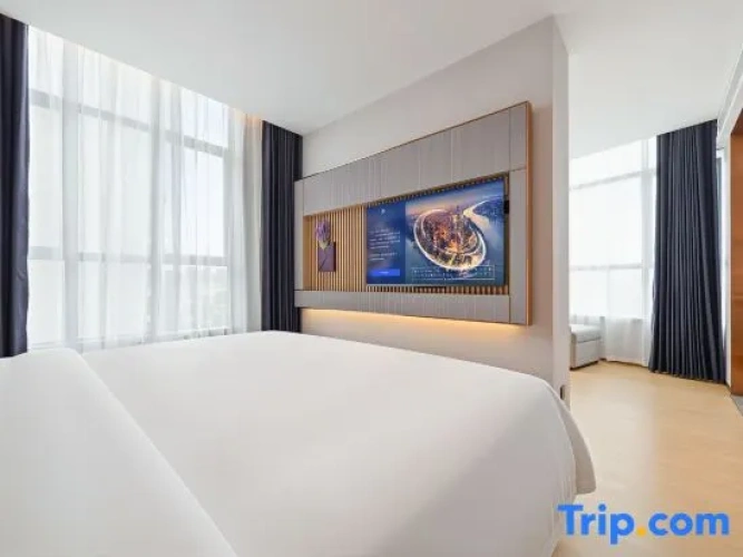 Standard Suite