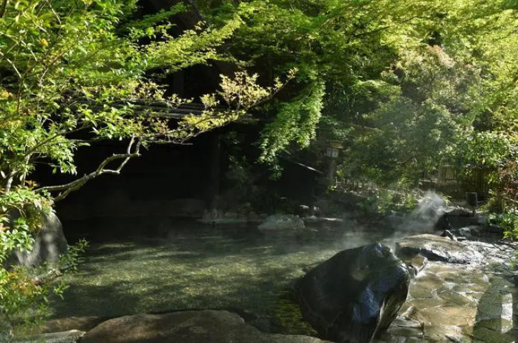 Ryokan OkunoyuOver view