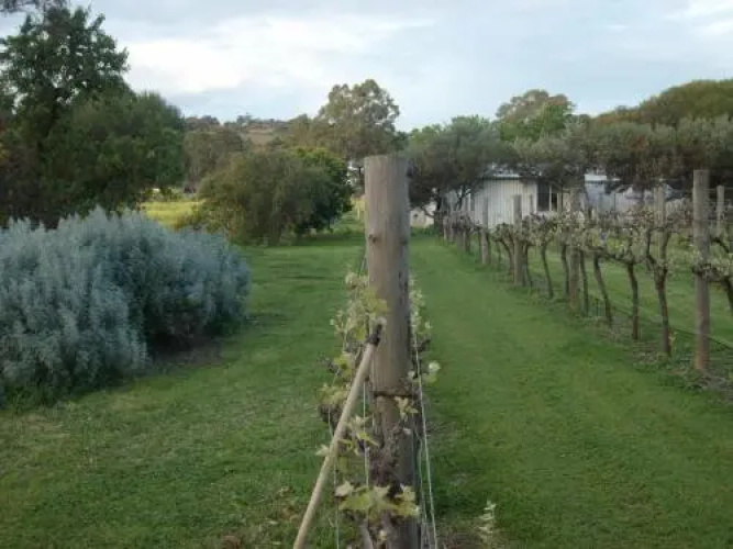 Southern Vales Bed & Breakfast
