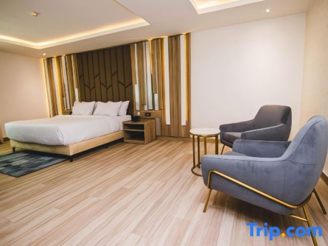 Penthouse Suite with city view