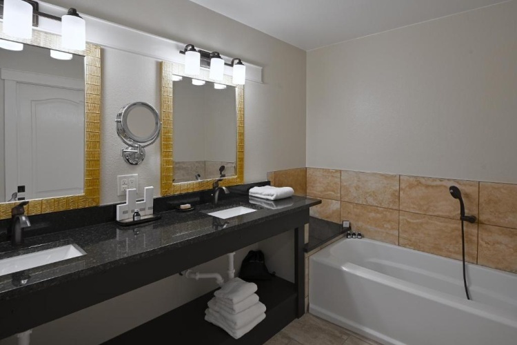 Deluxe Double Suite
