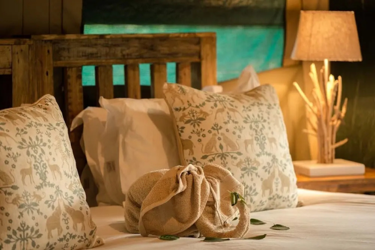 Rukiya Safari Camp