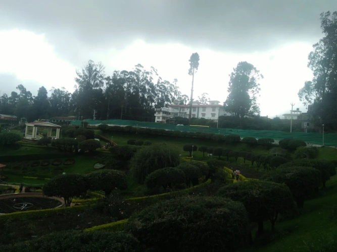 Standard Double room with garden view
