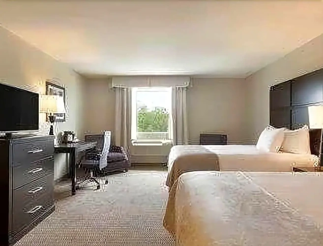 Business Quadruple room