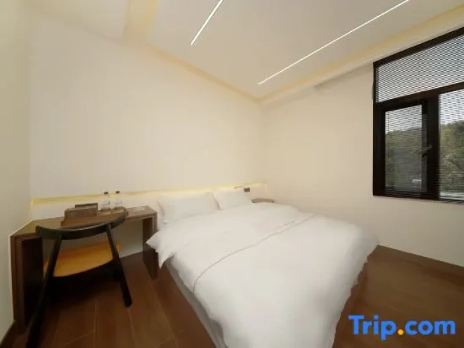 Premier Suite