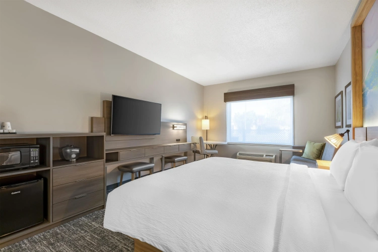 Standard Double room
