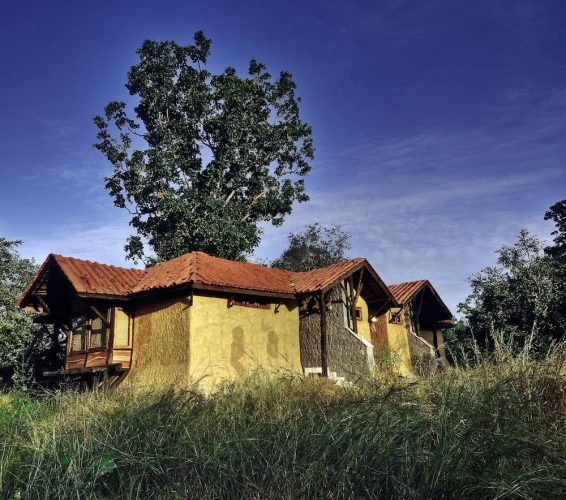 Luxury Double Bungalow