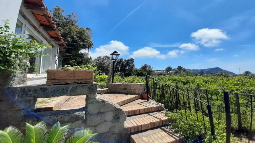 Agriturismo Il Vitigno