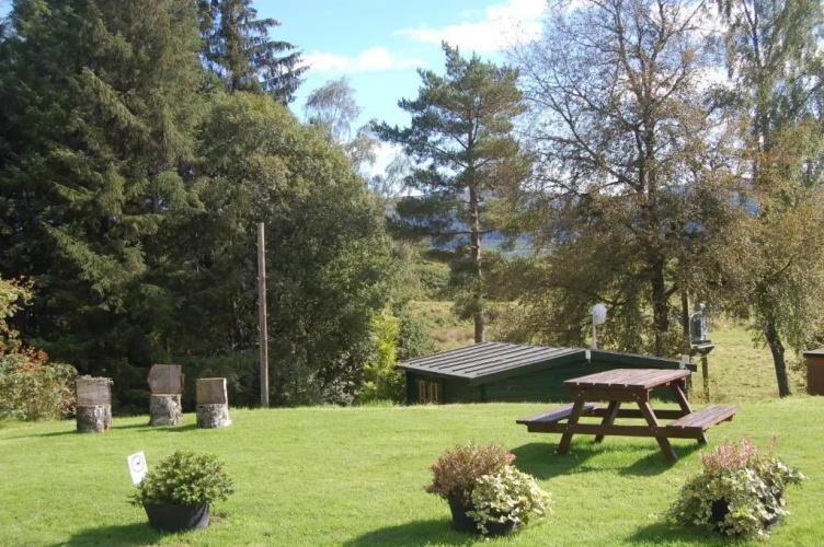 Cosy & compact Rowan Lodge no2