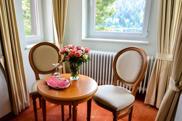 Superior Double room with balcony and with view