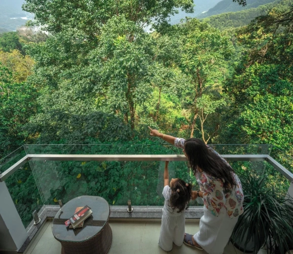 1 Bedroom Deluxe Double room with balcony and with mountain view
