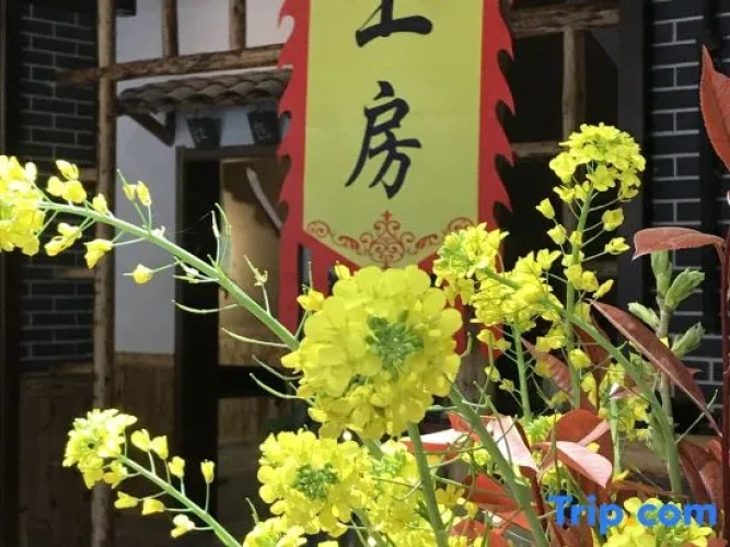 Outside