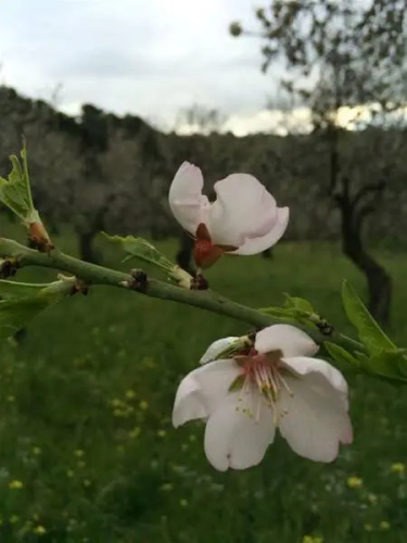 Oasi Monte Rhenna