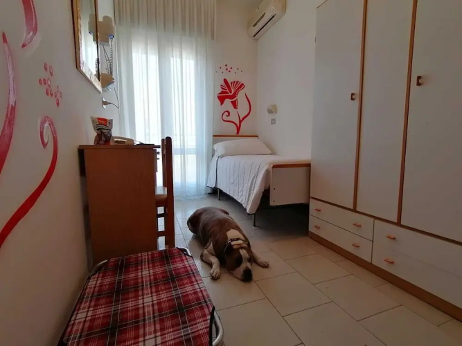 Kristalex Pet Family Hotel