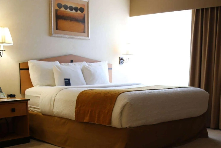 Mobility Accessible Double room