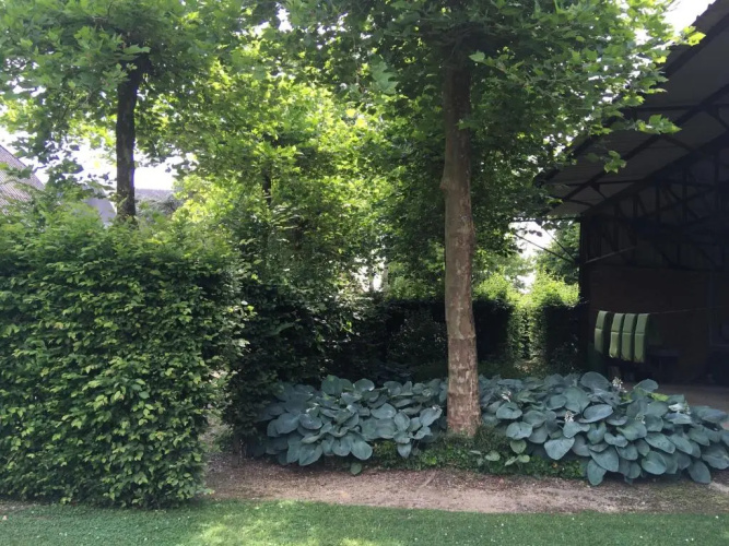 Neerhof