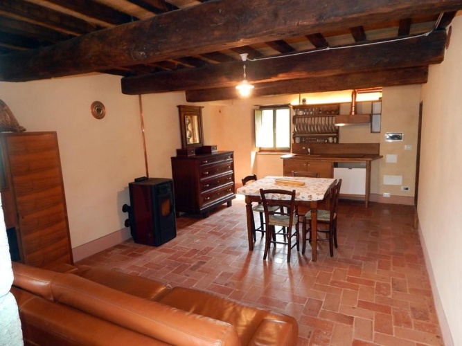 Basement Apartment