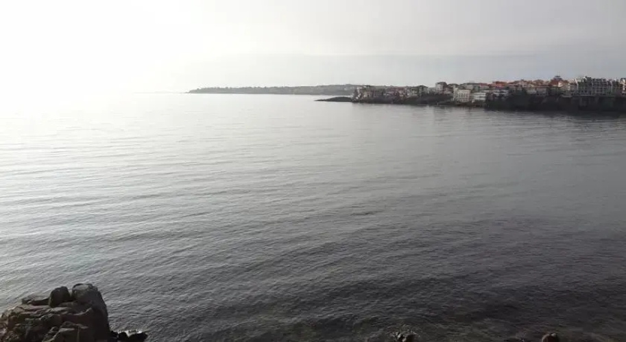 Apartment Amore